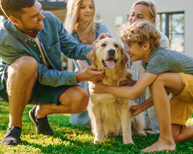 Young happy family playing with their dog in the back yard. 